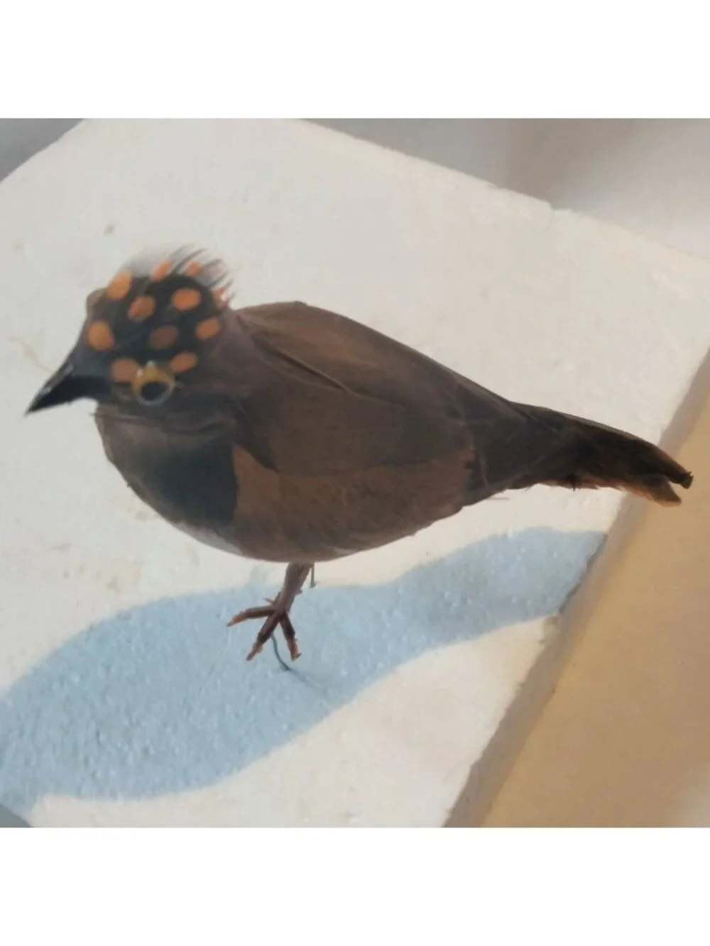 Decorative Tufted Birds Brown Orange Feathers Realistic Craft Display Lot 2
